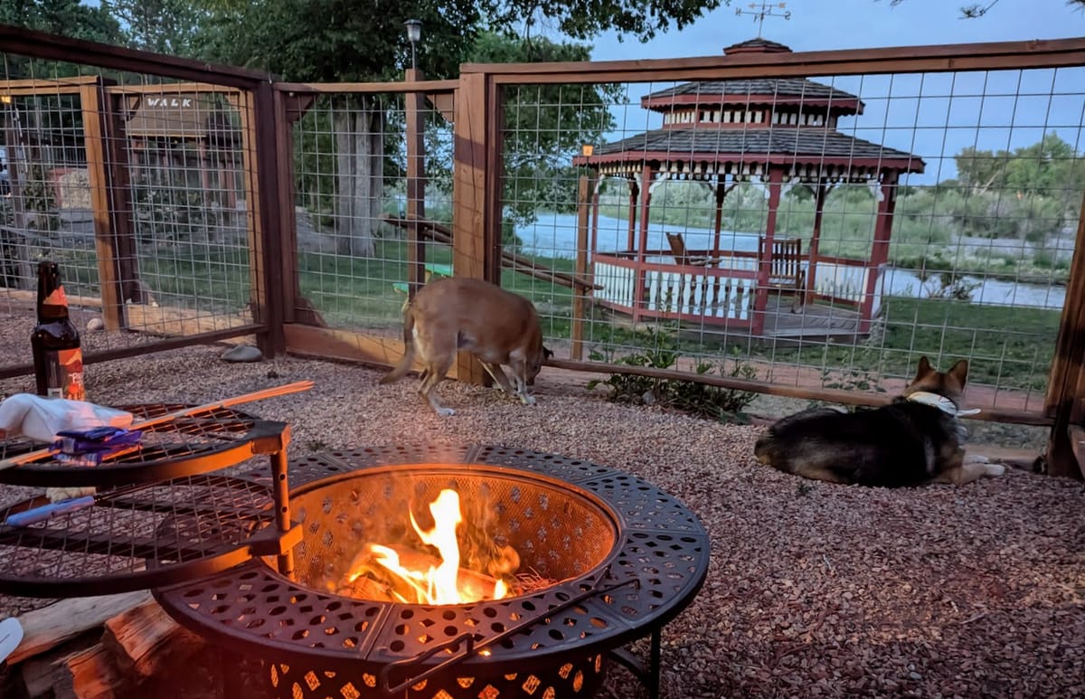 A Dog-Friendly Trip to Delta, Colorado