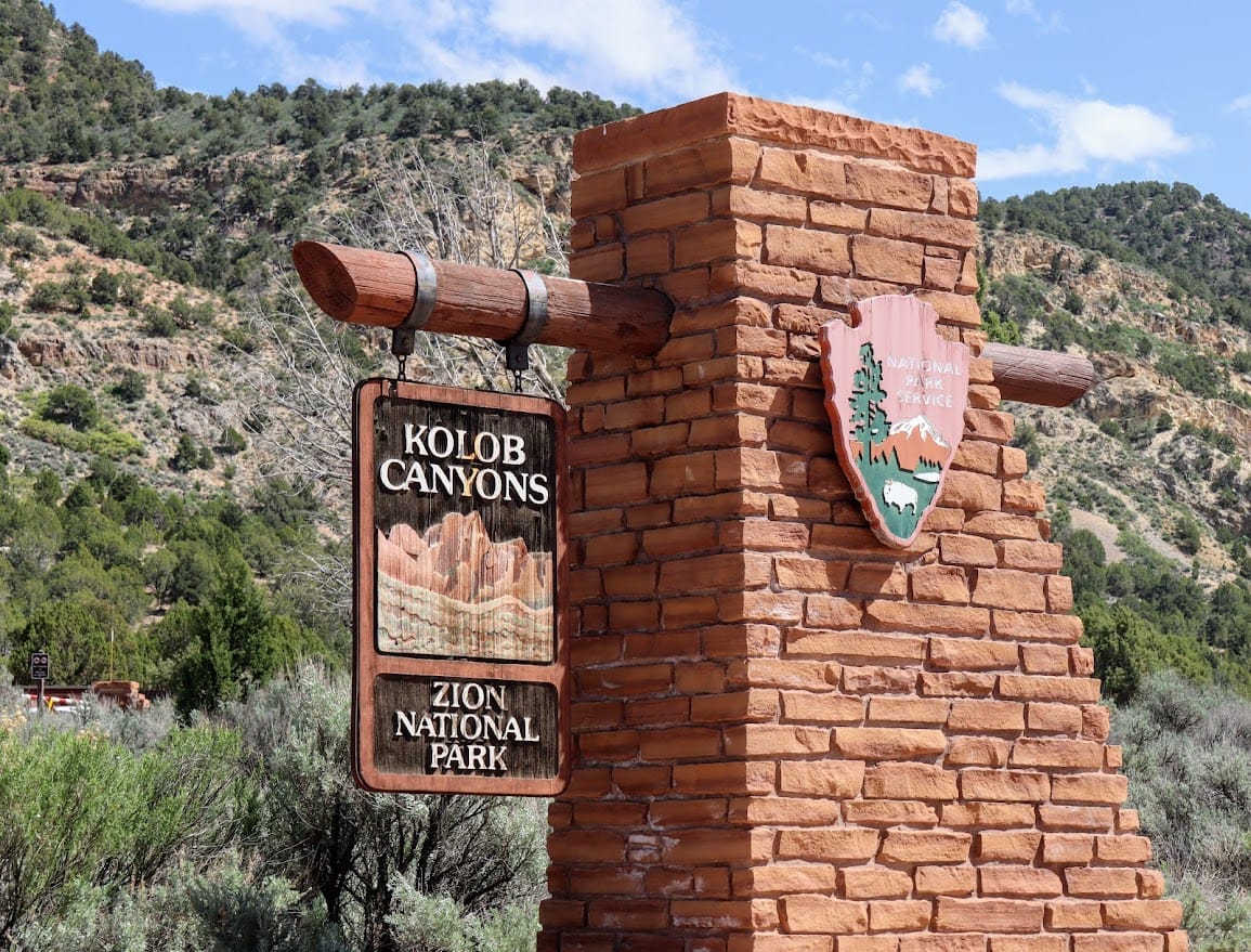 A Dog-Friendly Trip to Zion National Park