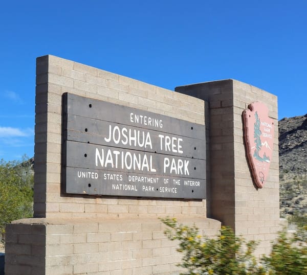 A Dog-Friendly Trip to Joshua Tree National Park
