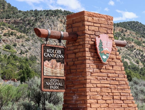 A Dog-Friendly Trip to Zion National Park
