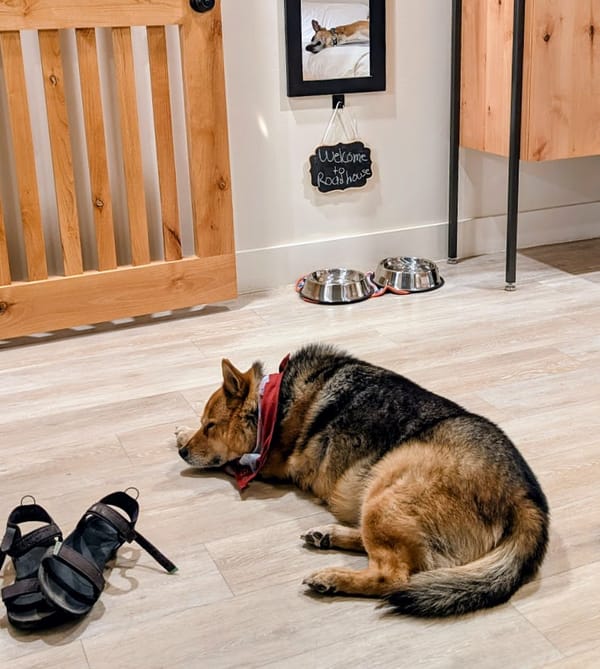 A Dog-Friendly Trip to Kanab, Utah