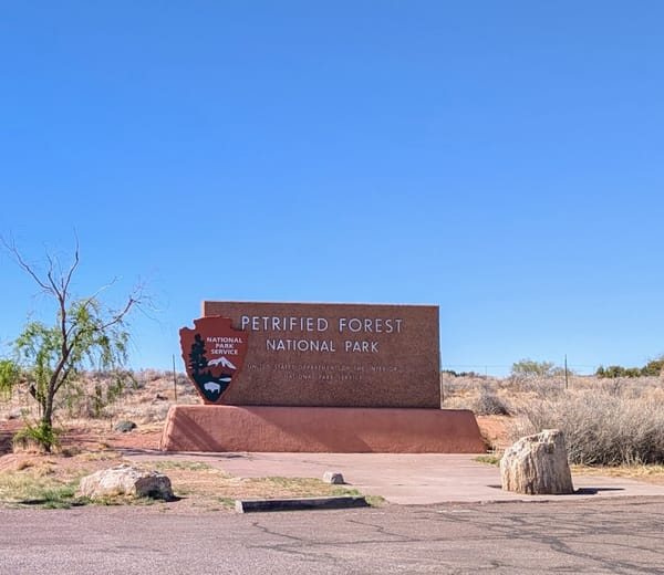 A Dog-Friendly Trip to Petrified Forest National Park