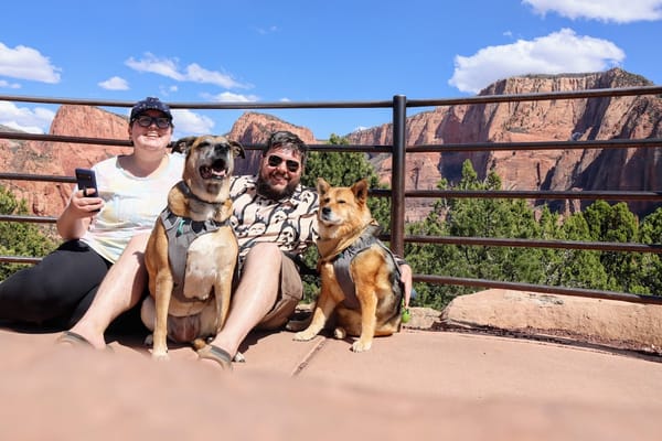 A Dog-Friendly Road Trip: Colorado to California