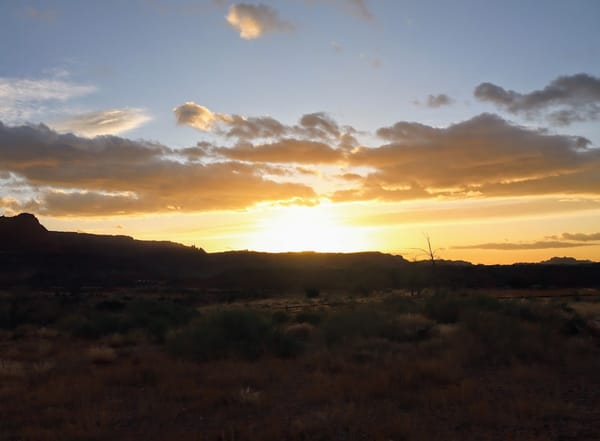 A Dog-Friendly Trip to Torrey, Utah