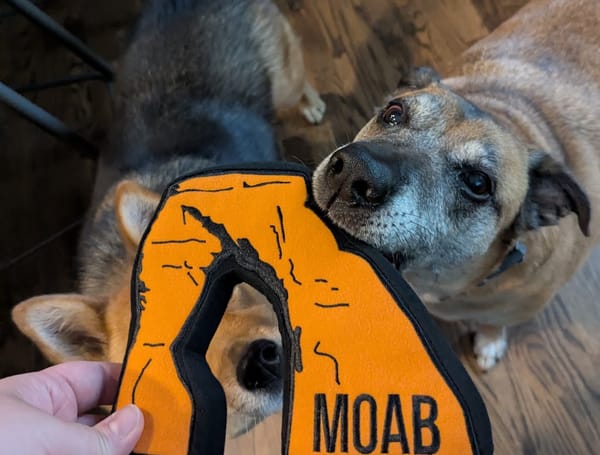A Dog-Friendly Guide to Moab, Utah