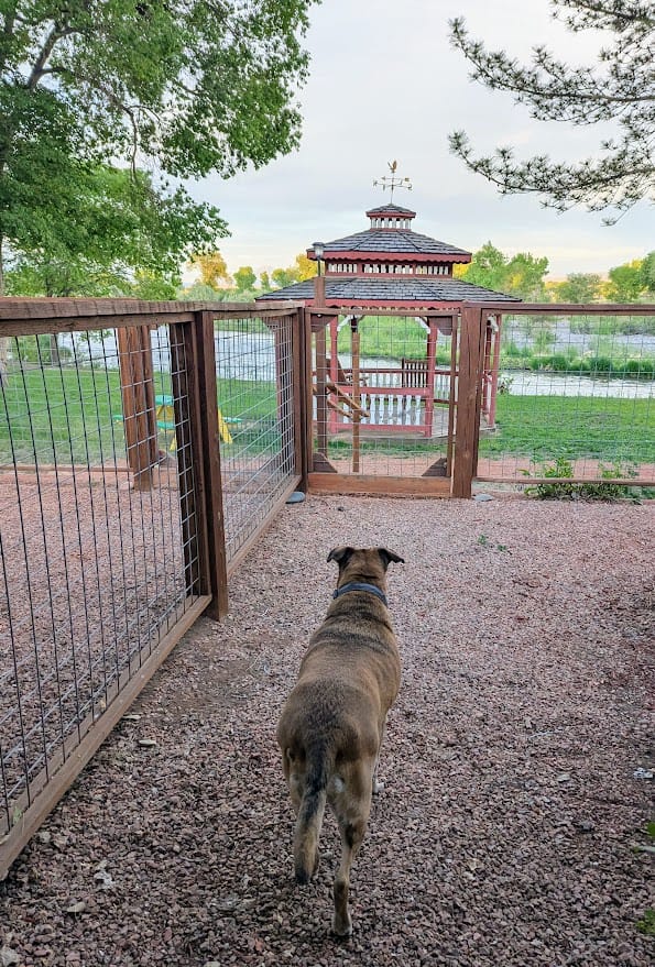 A Dog-Friendly Trip to Delta, Colorado